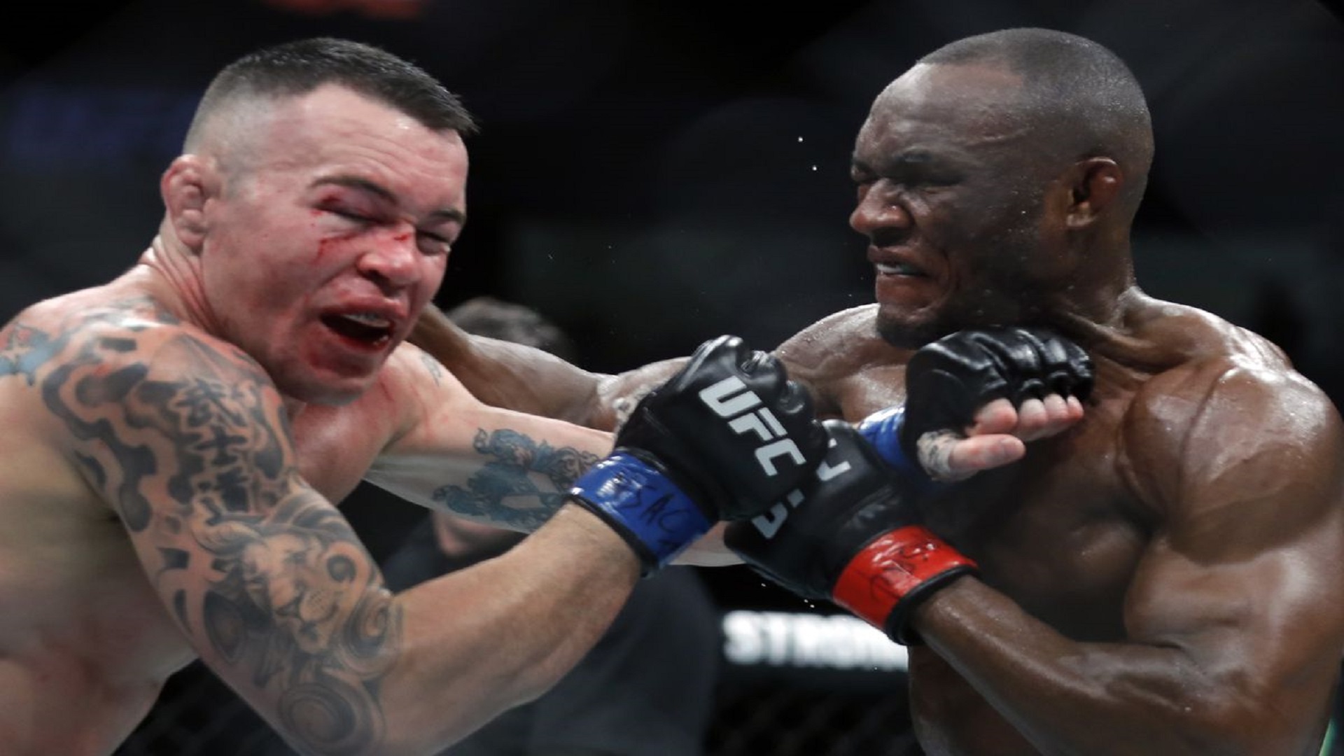 UFC-245-Complete-Results