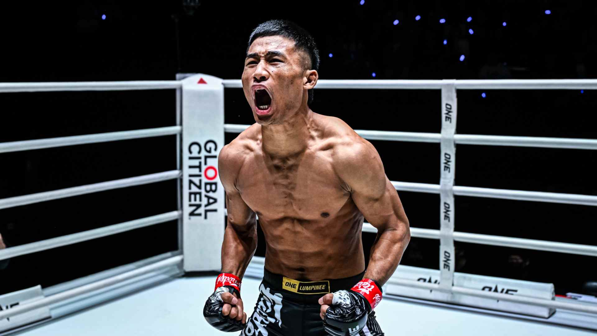 https://lockerroom.in/blog/view/one-fight-night-47-preview-nazareth