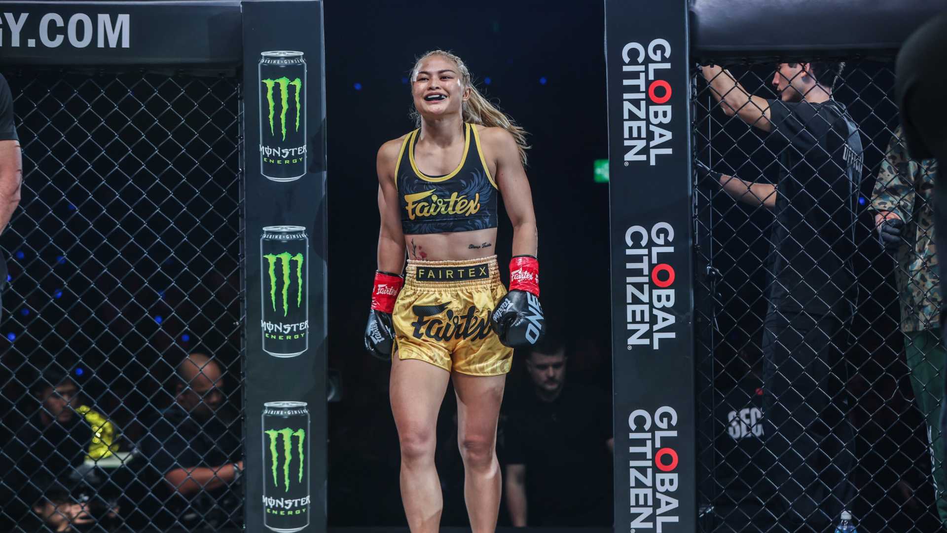 https://lockerroom.in/blog/view/stamp-fairtex-inner-circle-20