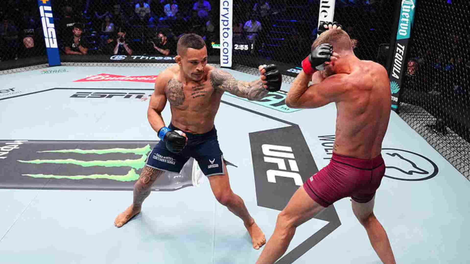 https://lockerroom.in/blog/view/dana-white-trent