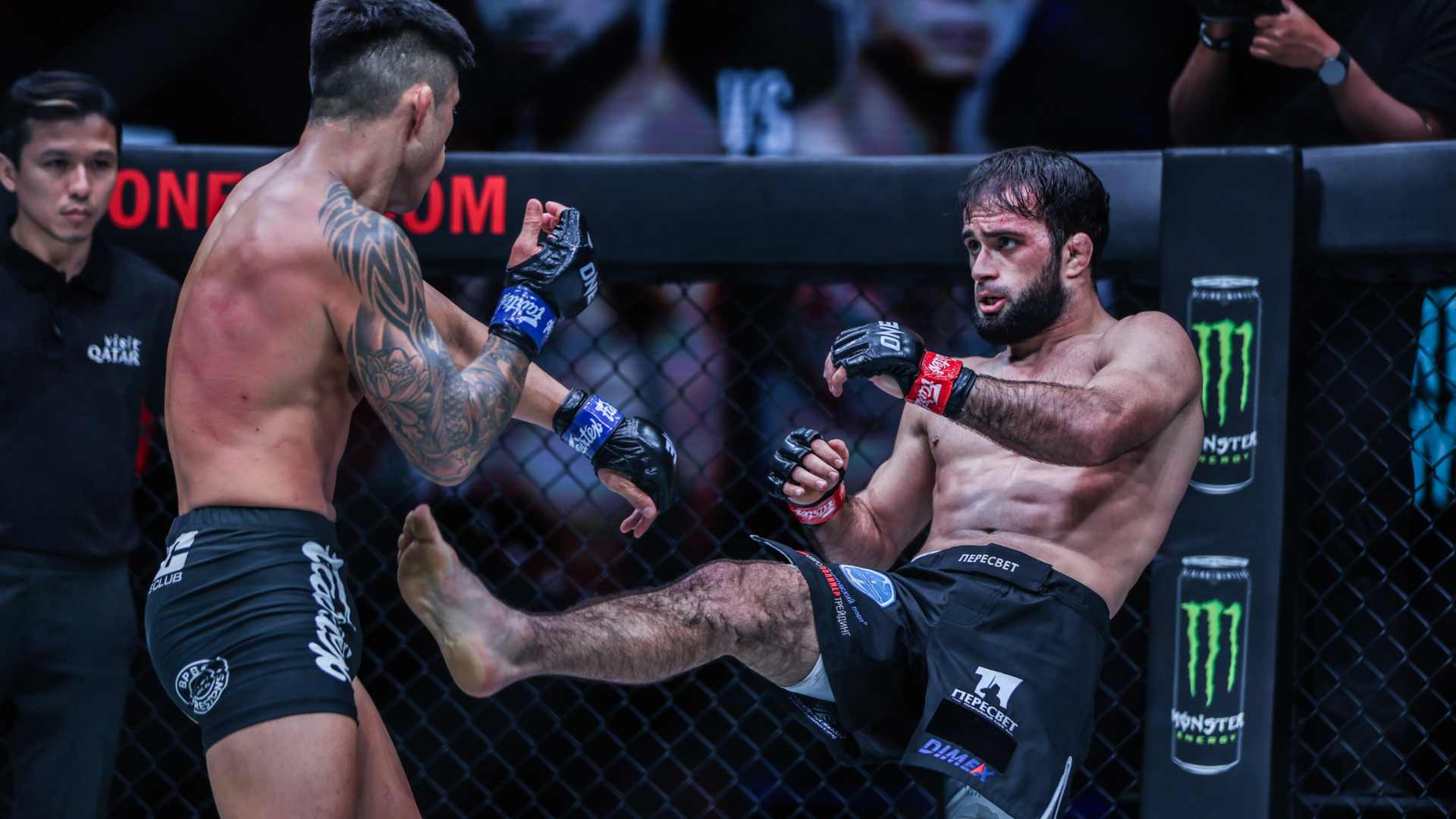 https://lockerroom.in/blog/view/one-fight-night-43-shamil