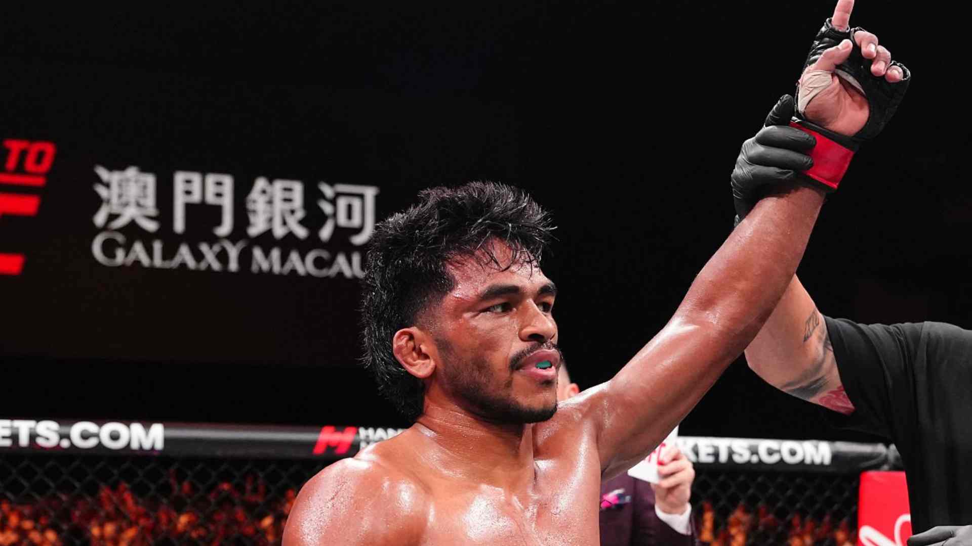 https://lockerroom.in/blog/view/road-to-ufc-season-5-results-1